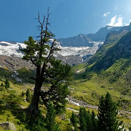 Fuerstalm Alpendorf Gerlos