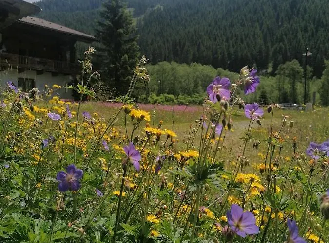 Appartement Fürstalm Alpendorf *