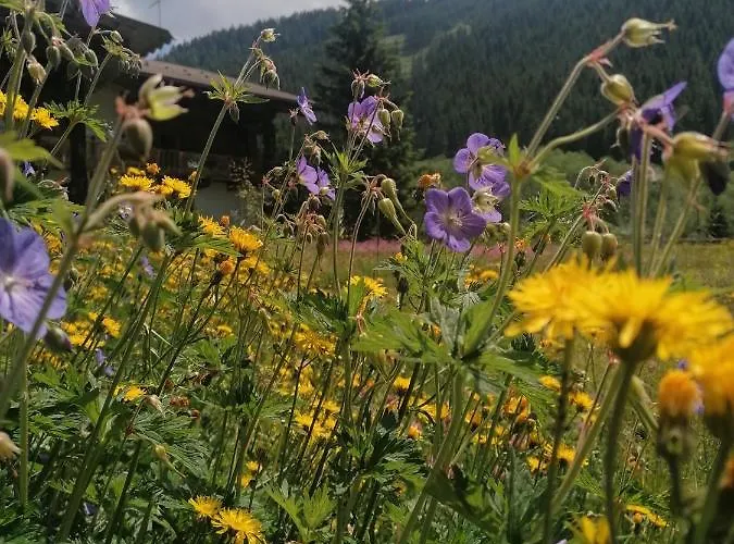 Fürstalm Alpendorf Appartement Gerlos