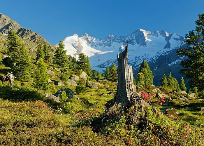 Appartement Fuerstalm Alpendorf Gerlos