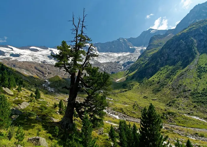 Fuerstalm Alpendorf Gerlos